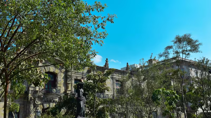Ordu Altınordu Esmer Bayan