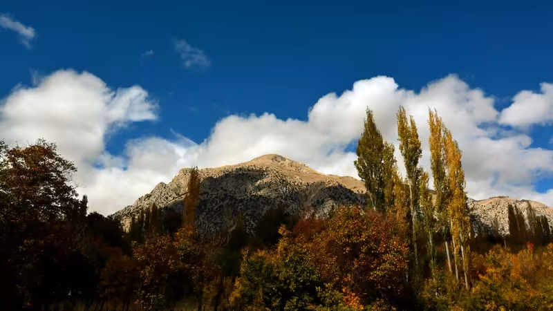 Ordu Çamaş'da En İyi Deniz Ürünleri ve Balık Restoranları