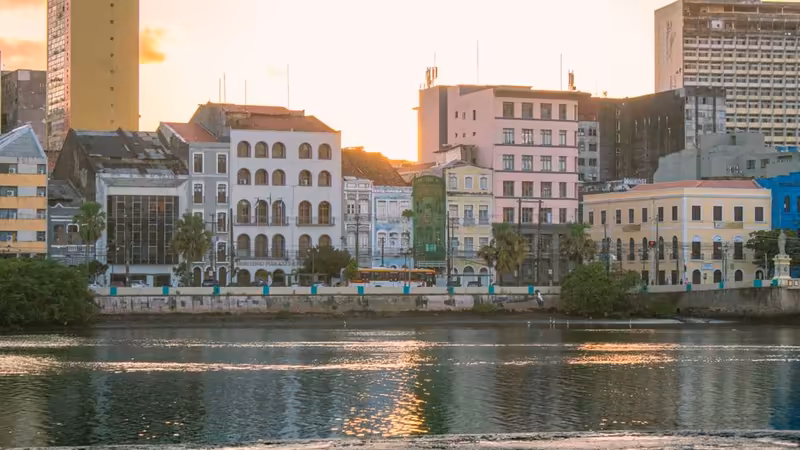 Ordu Çamaş Olgun Bayan