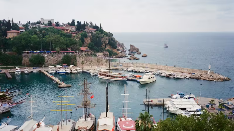 Ordu Çamaş Tatil Donemi Escort Bayanlar