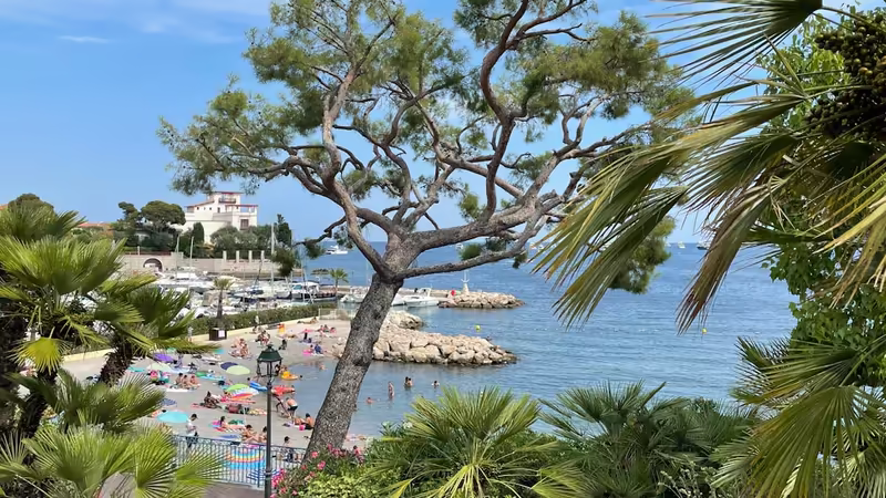 Ordu Çatalpınar Seckin Ilanlar