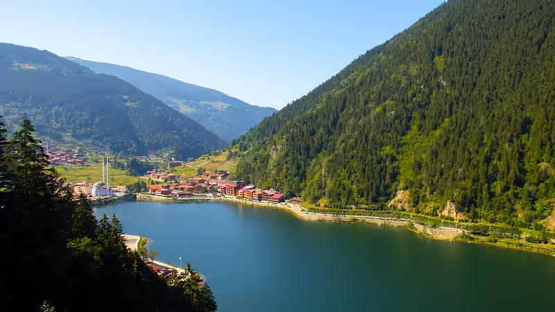 Ordu Çaybaşı Yakindaki Ilanlar