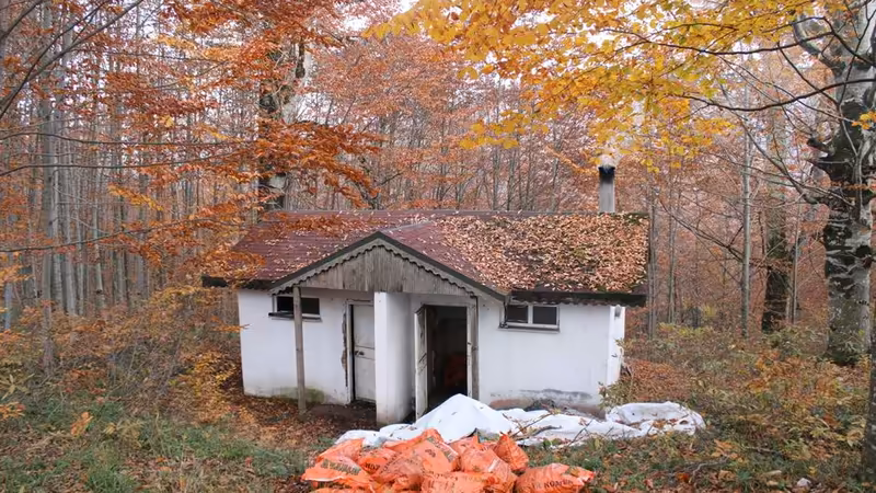 Ordu Gülyalı Fotografli Eskort