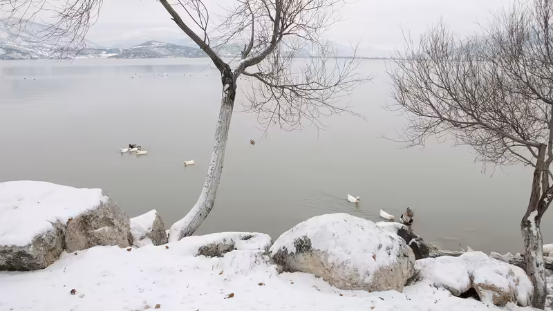 Ordu Mesudiye'da Gece Yürüyüş Rotaları ve Güvenlik Durumu