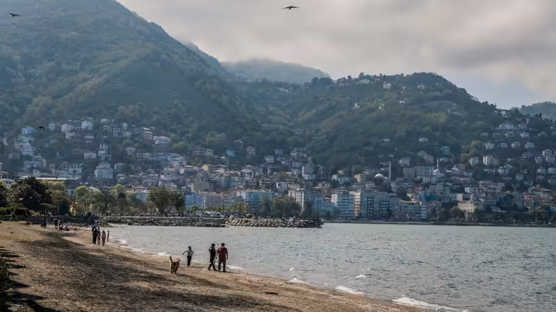 Ordu Ulubey Teyze Profili Escort