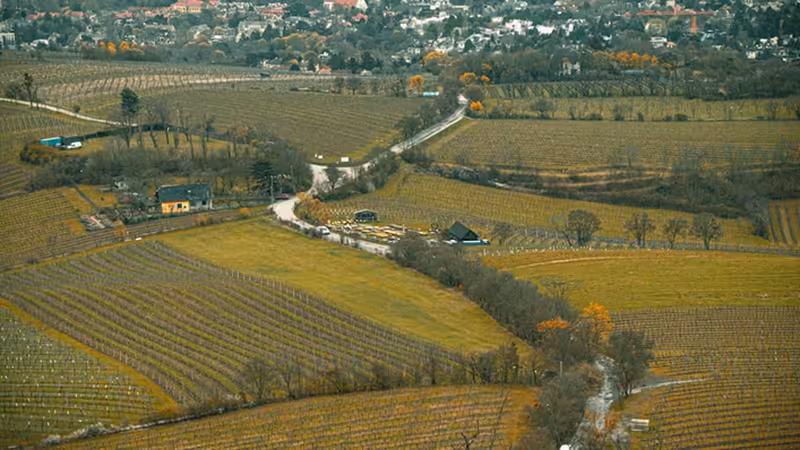 Osmaniye Merkez Yol Tarifi ve Ulasim Ipuclari
