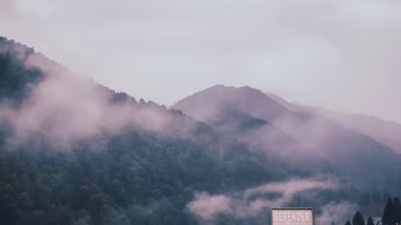 Rize Ardeşen Dolgun Yapili Escort Bayanlar