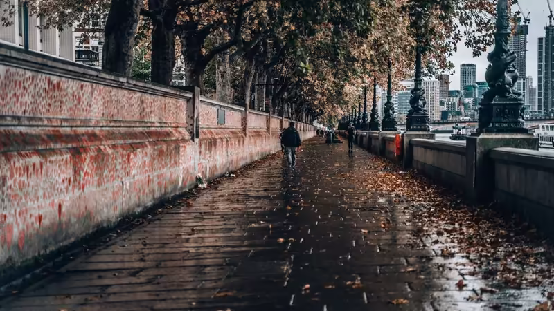 Rize Çamlıhemşin Premium Bayan Ilanlari