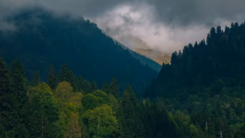 Rize Çamlıhemşin Esmer Bayan