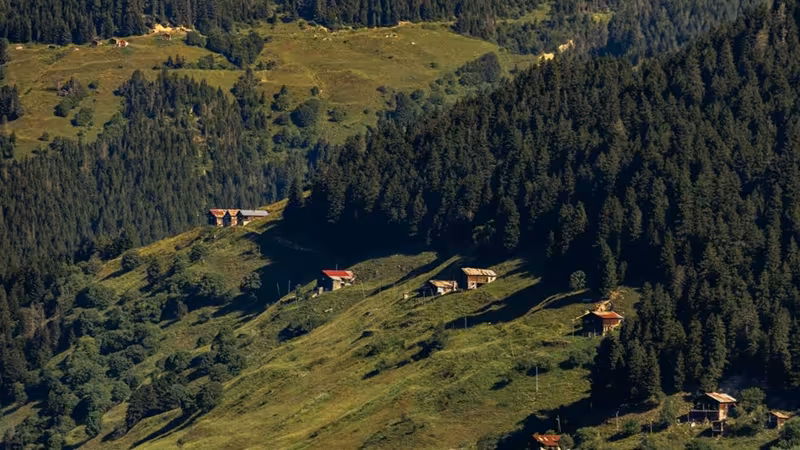 Rize Çayeli Kulturel Etkinlik Esligi Escort