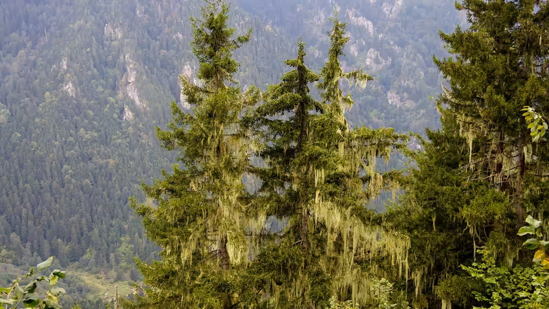Rize Çayeli Gunluk Eskort
