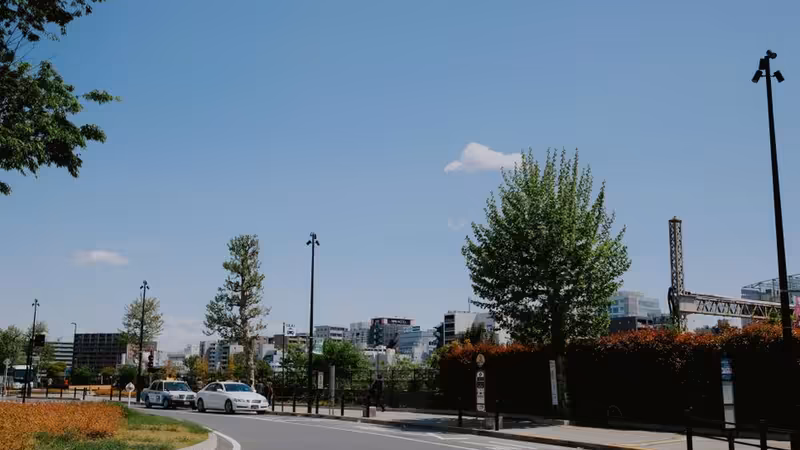 Rize Derepazarı Esmer Eskort