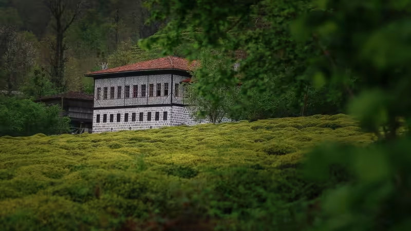 Rize Fındıklı Elit Ilanlar