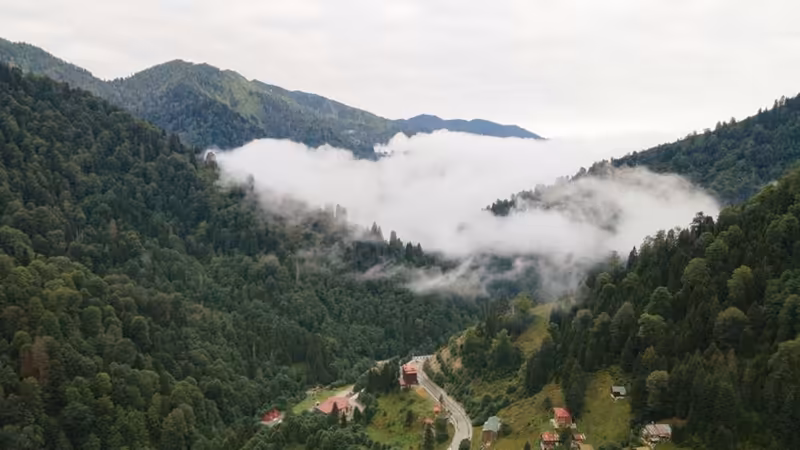 Rize Güneysu Yarim Gun Escort Hizmeti