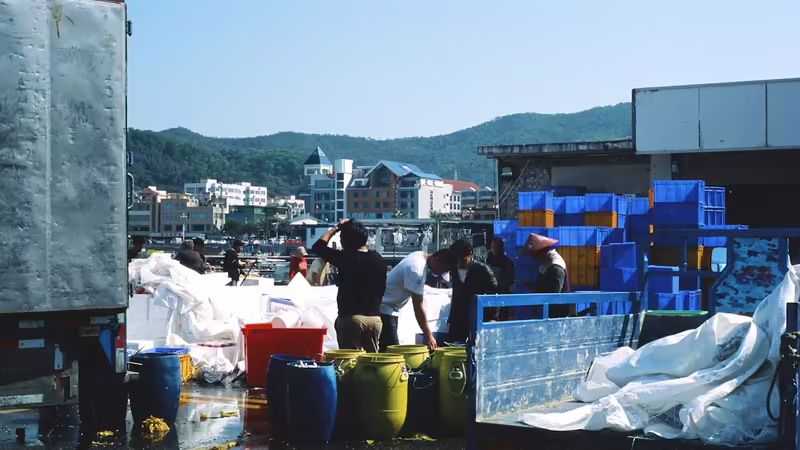 Rize İyidere Guvenli Konaklama Bolgeleri