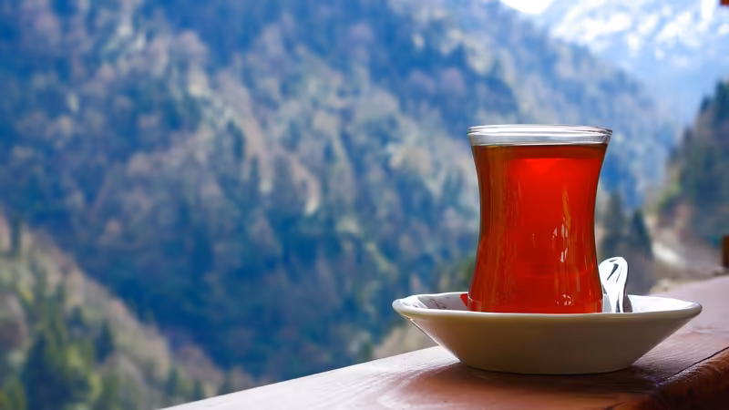 Rize Kalkandere Yabanci Eskort