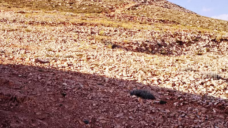 Safranbolu'nın Tarih Boyunca Aldığı İsimler ve Anlamları - Karabük