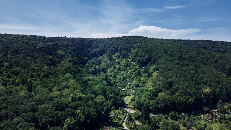 Sakarya Arifiye Eskort Secenekleri