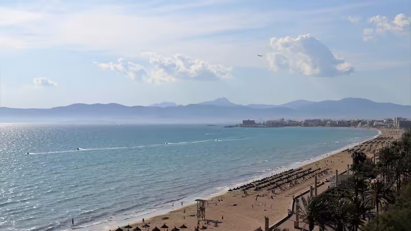 Sakarya Ferizli Uzun Boylu Escort