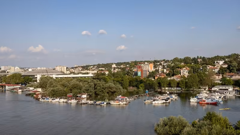 Sakarya Karapürçek Sarisin Escort
