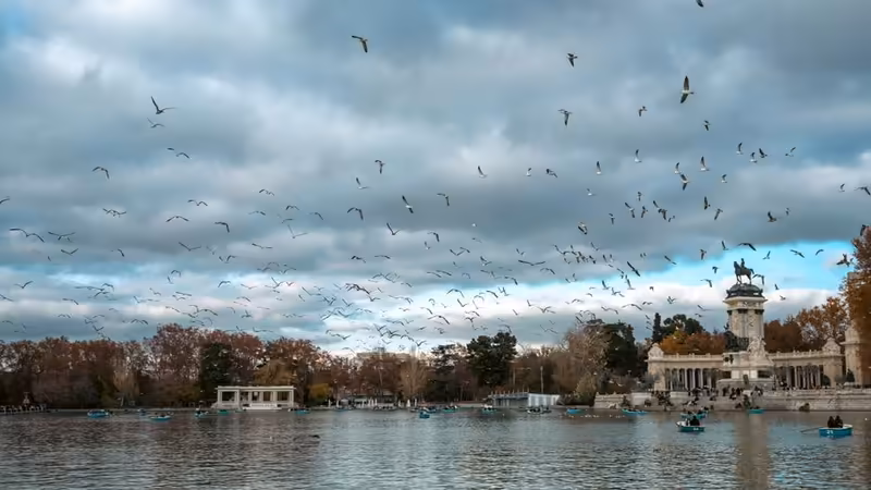 Sakarya Taraklı Yeni Gelisen Semtler