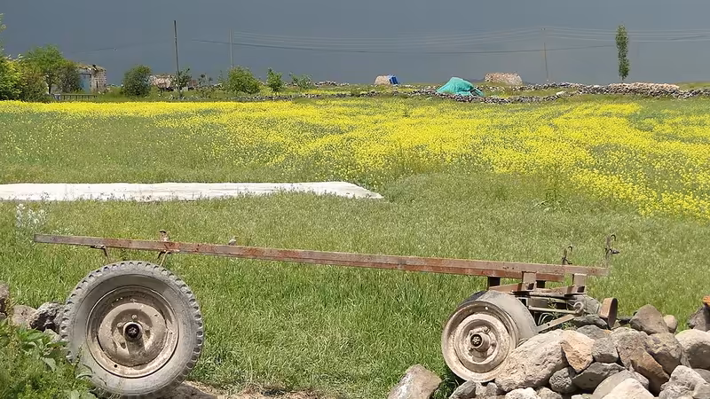 Samandağ'da Çocuklar İçin Atölyeler, Kültür ve Bilim Merkezleri - Hatay