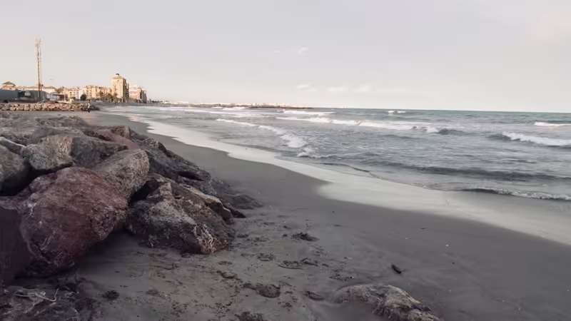 Samsun Asarcık Ingilizce Konusan Escort