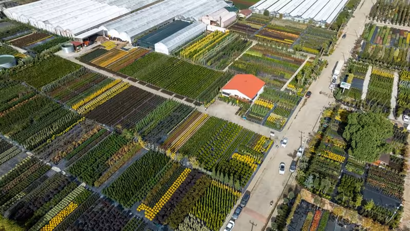 Samsun Ayvacık'da Güncel Süpermarket Fiyatları ve Gıda Sepeti Maliyeti