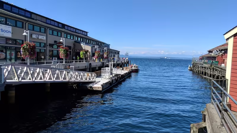Samsun Bafra Kaliteli Ilanlar