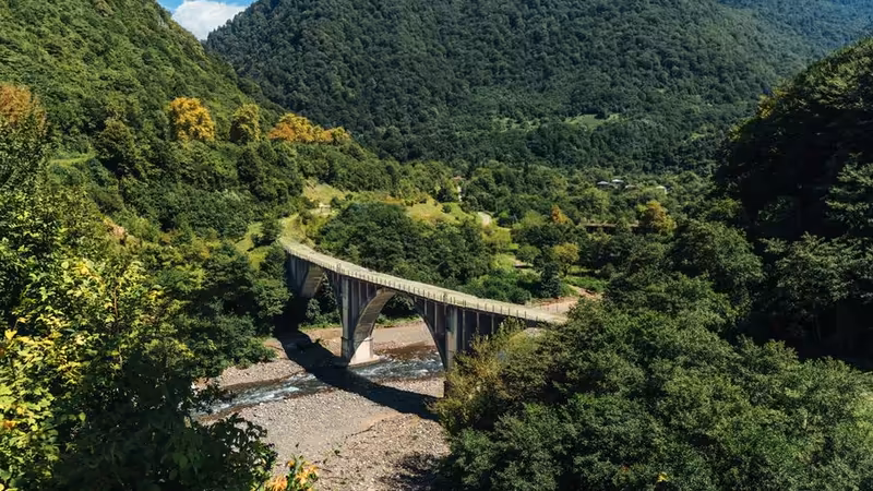 Samsun Vezirköprü Dolgun Bayan