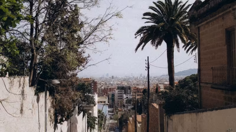 Şanlıurfa Eyyübiye Gercek Profil Escort