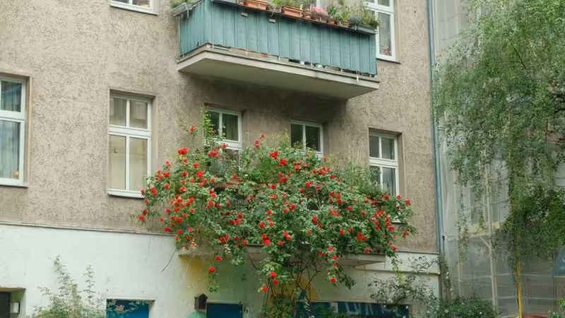 Şanlıurfa Karaköprü Etkinlik Escort