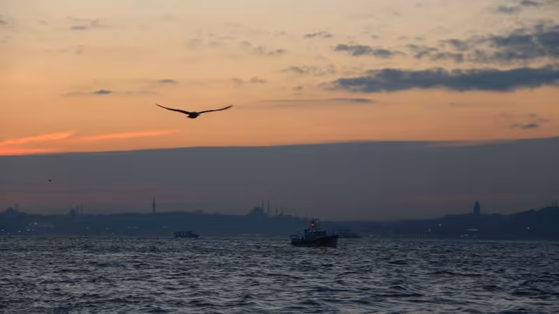 Siirt Kurtalan'nın Merkez ve Sahil Bölgelerindeki Metrekare Fiyat Analizi