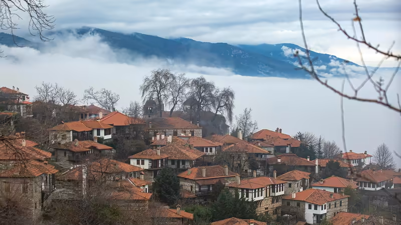 Siirt Aktif Bayan Ilanlari