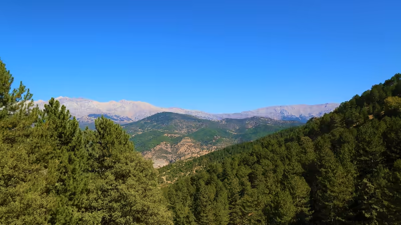 Sinop Ayancık'da Sağlık Hizmetleri Maliyetleri ve Sigorta