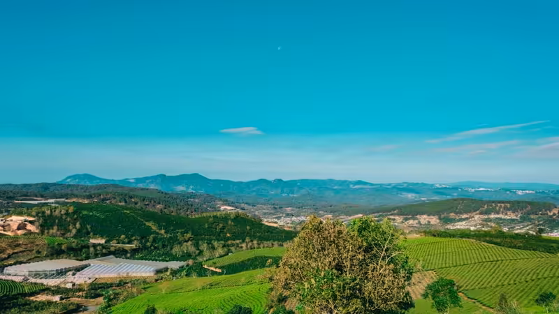 Sinop Gerze Merkez Escort