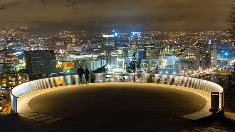Şırnak Escortlarin Gizlilik Beklentileri Nelerdir