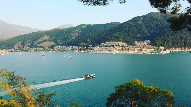 Şırnak Seckin Ilanlar