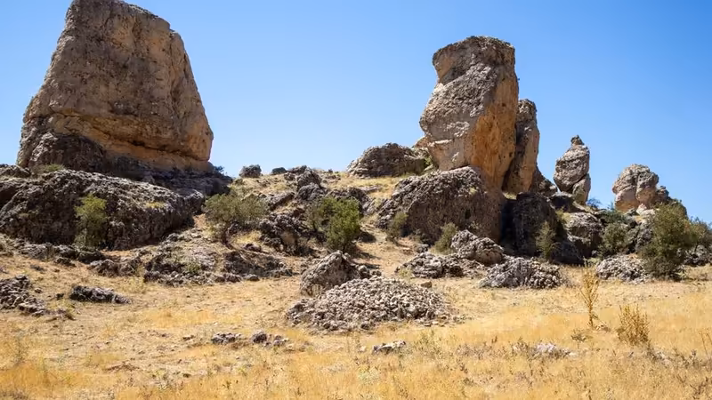 Şırnak Silopi Elit Bayan Ilanlari