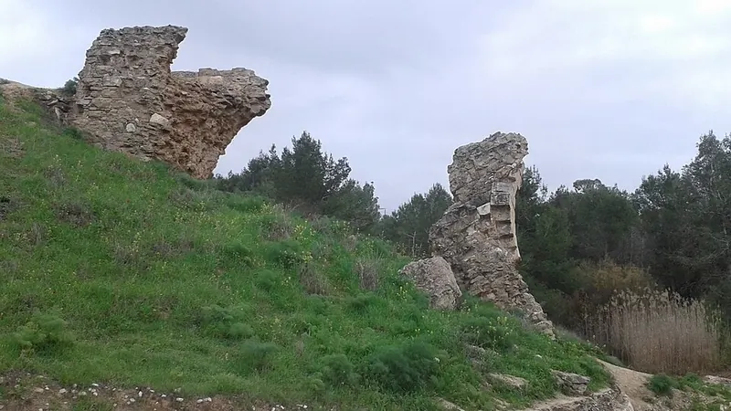 Sorgun'da Gece Hayatı Hangi Bölgelerde Yoğun - Yozgat