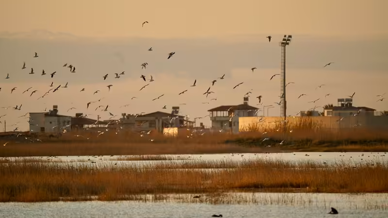 Tekirdağ Marmaraereğlisi Yakindaki Eskort