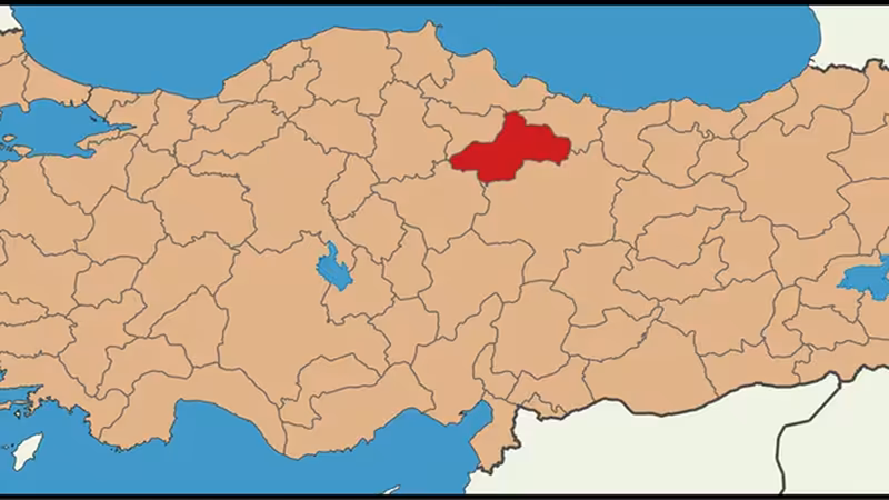 Tokat Gizli Bulusma Escort