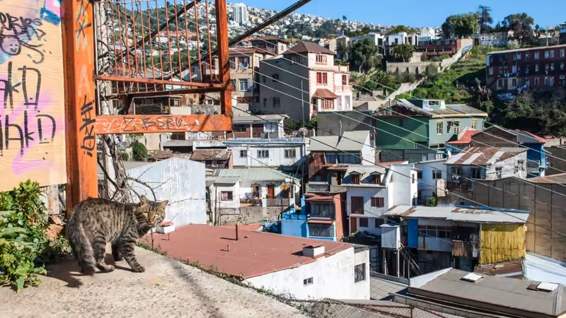 Tokat Merkez Ayni Escortun Numarasini Nasil Bulabilirim