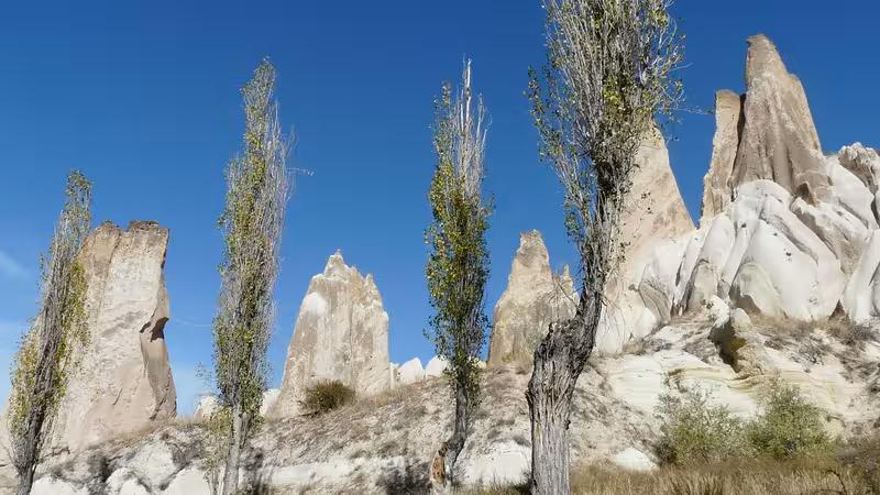 Tokat Merkez Eskort