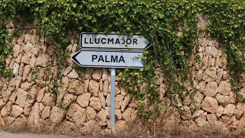 Tokat Yeni Bayan