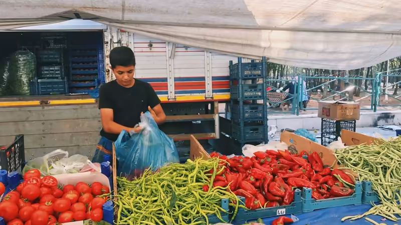 Tokat Pazar Kaliteli Bayan