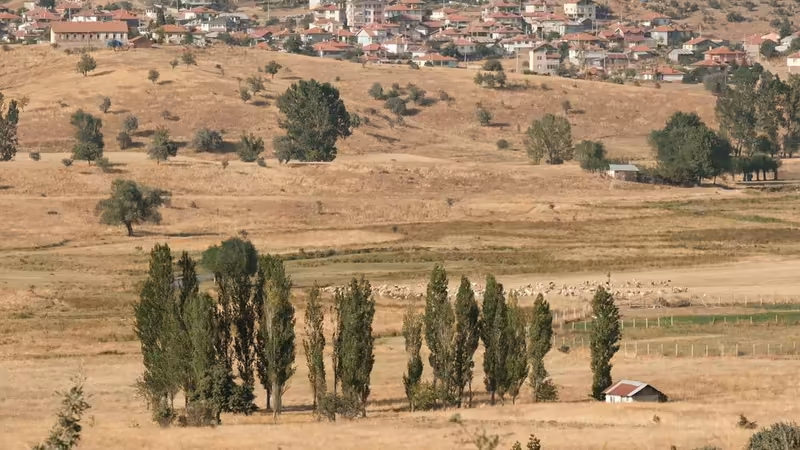 Tokat Reşadiye Masoz Profili Escort