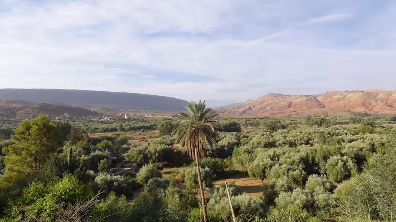 Tokat Reşadiye Seckin Ilanlar
