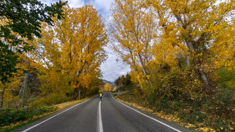 Tokat Turhal'da Yabancıların İş Bulma Süreci ve Çalışma Vizeleri