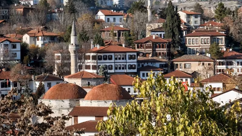 Tokat Zile Gecelik Escort Bayanlar